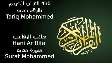 هاني الرفاعي سورة محمد Hani Arrifa Surat Mohammed FLL HD