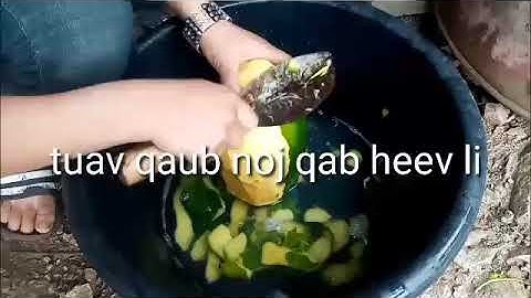 Kab tuav qaub noj qab heev li nawb 13/11/2019​