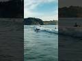 Собачий серфинг | Dog surfing | #Thailand #2024 #life #nature #surfing #dog