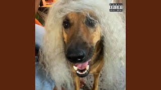 Bark Like U Want It