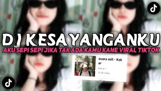 DJ KESAYANGANKU Aku Sepi Sepi Sepi Jika Tak Ada Kamu- Viral Di Fyp TikTok