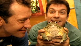 Zoboomafoo with the Kratt Brothers! FROG | Full Episodes Compilation