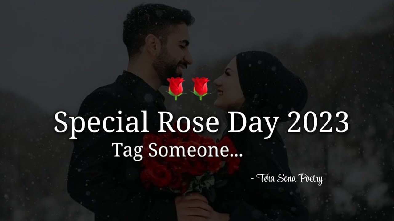 Special Rose Day 2023 Tag Someone 🌹 Happy Rose Day 2023 Status | Rose Day Status 