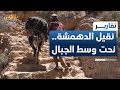 نقيل الدهمشة سلم نحت وسط الجبال وأسهم بكسر العزلة عن مديرية المقاطرة تقرير فواز الحمادي