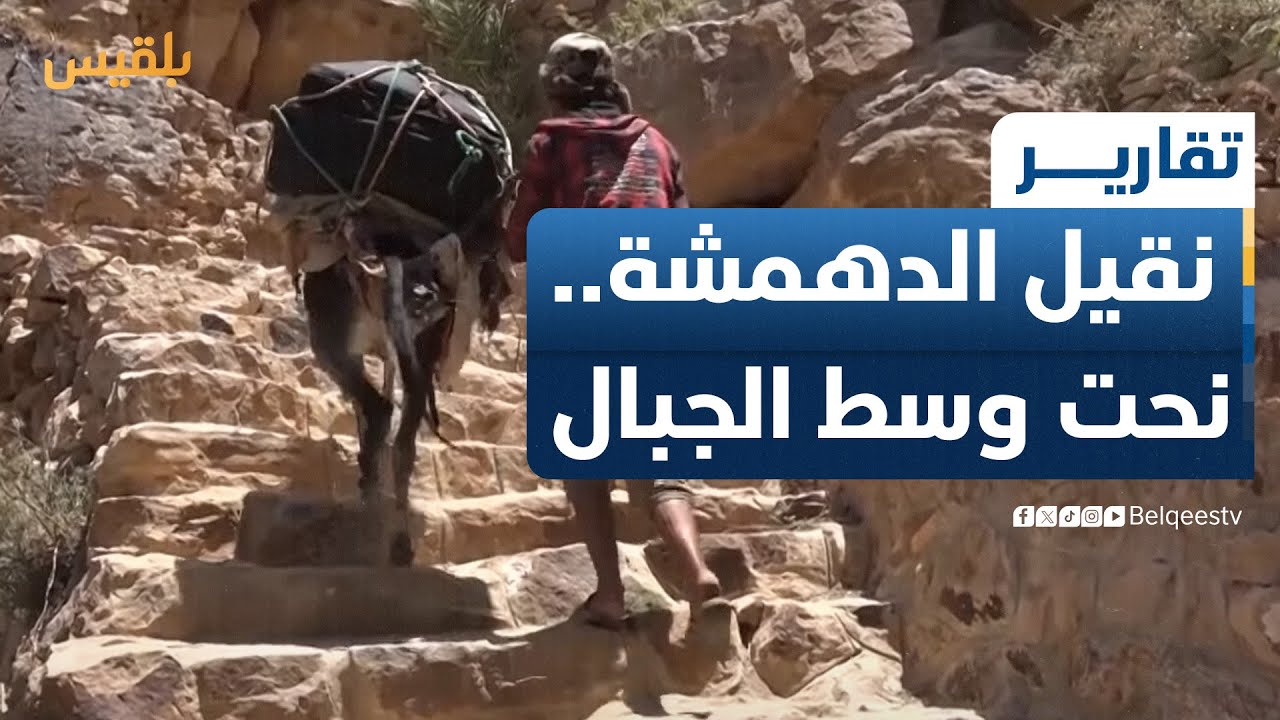 نقيل الدهمشة.. سلم نحت وسط الجبال وأسهم بكسر العزلة عن مديرية المقاطرة | تقرير: فواز الحمادي