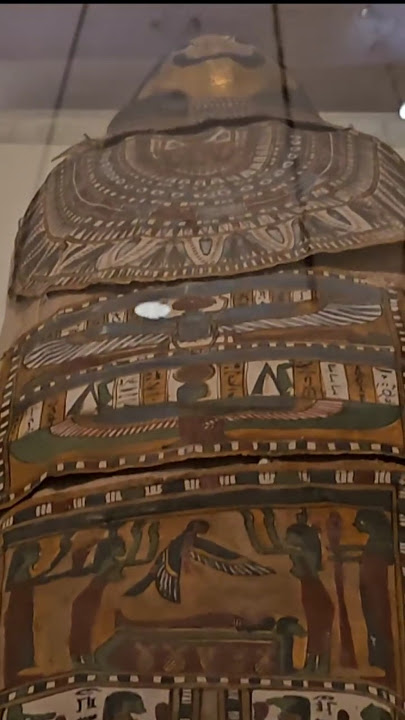 Mummified Remains of an Adult Male Named Mn (Egypt 332-30 BC) #shorts