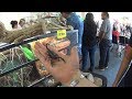 Esto sucedio en animalia 2019 no saben a quien me encontre(MarioBlogs )