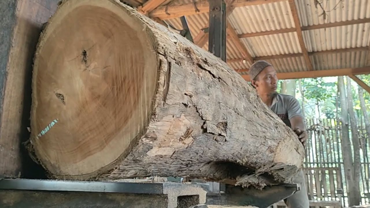 processing teak trees into furniture materials at the wood sawmill ...