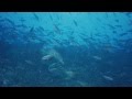 【癒し・ヒーリングBGM】30分聴くだけでイライラした心を整え落ち着きを取り戻していくヒーリングピアノ曲集