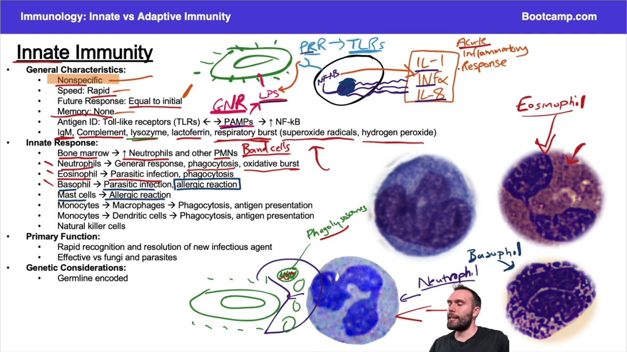Innate Immunity for Step 1 | Immunology | Med School Bootcamp