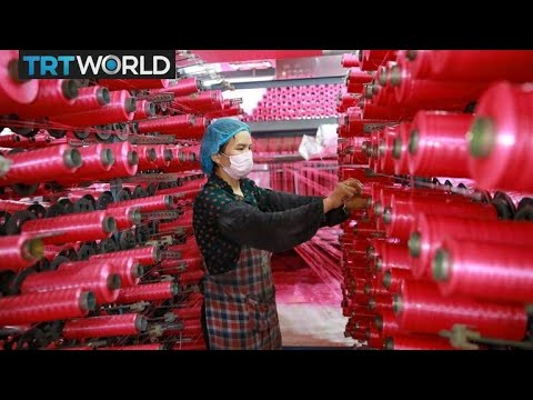 GDP growth slows