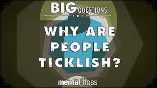 Why are people ticklish?   Big Questions  (Ep. 39)