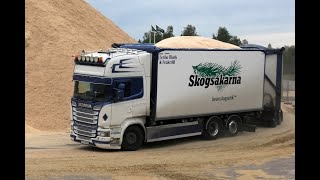 Scania R580 6X2 Wood Chip Truck Tipping (4K)