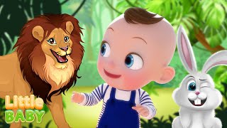 Zoo Song | Old MacDonald Had a Farm + More Nursery Rhymes & Kids Songs | Little Baby