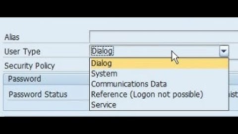 SAP User Types