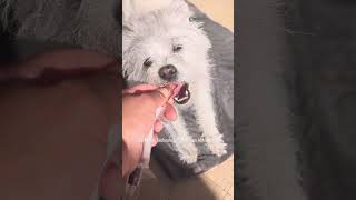 Bioavailable Joint Support