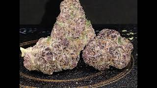 Halle Berry (SH) Strain Review Budpedia