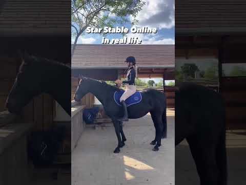 Video: Waarop is horsin rond gebaseer?