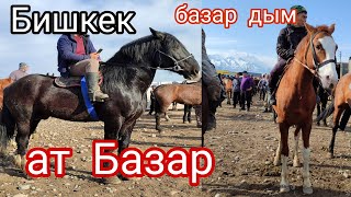 6-Апрель Бишкек ат Базар бою чоң тайлар Польша бее 450 миң 💯💥💥🔥🔥