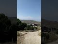 Лето Степной Крым Summer Steppe Crimea 夏のステップ クリミア 夏季草原克里米亚 여름 스텝 크림