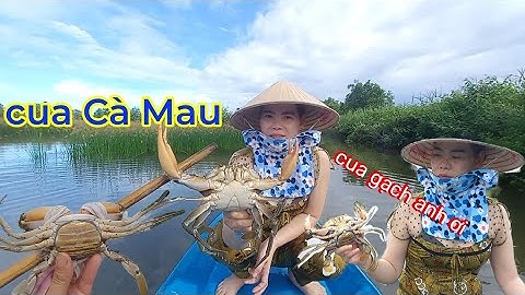 2 Vợ Chồng Về Vuông Thăm Bẫy Cua Biển Nhưng Ai Ngờ || @SongNuocCaMau