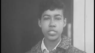 Full The Clinton 12: The Clinton County Desegregation Crisis (1947-1958) Guide