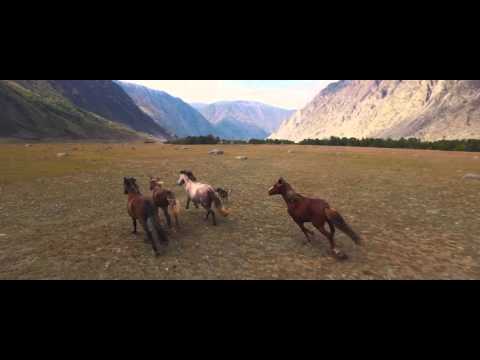Алтай/Altay. Автор: Антон Ельчанинов
