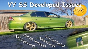 VY SS with Rough idle Issues