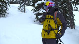 Ski the Trees: Safety First