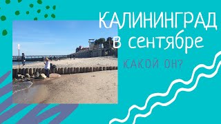 Сентябрь в Калининграде, какой он? Балтийское море, погода, температура. Купание в море осенью.