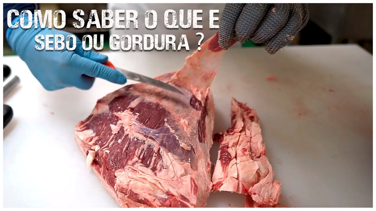 Como identificar sebo, gordura e nervo na carne