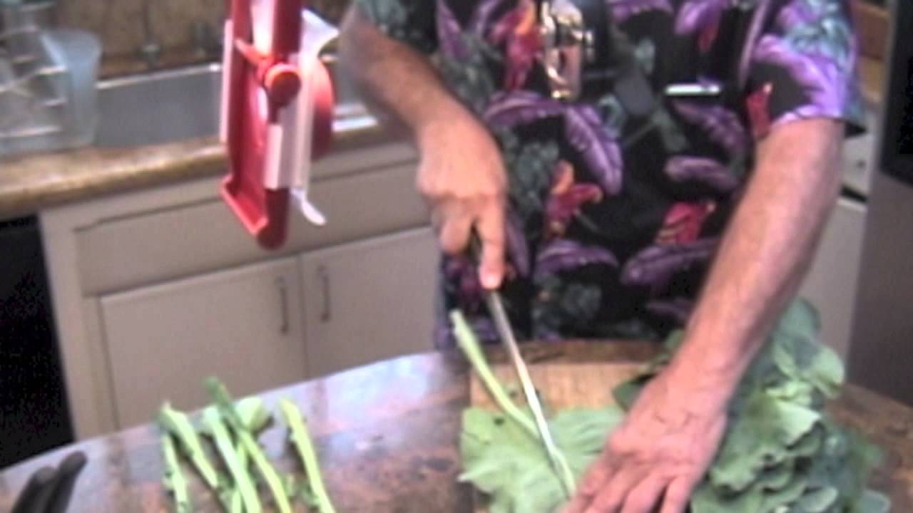 Growing Walking Stick Kale YouTube