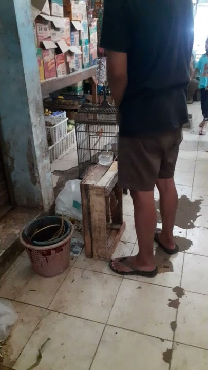 parah...!!! pria ini kencing di jalan sembarangan di tempat umum