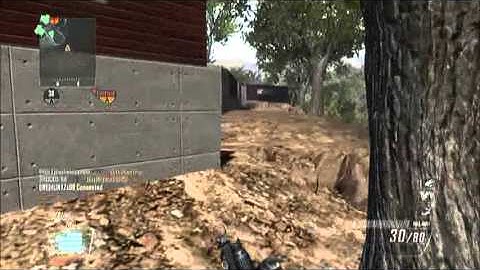 WTF...Out the map on raid (BO2)