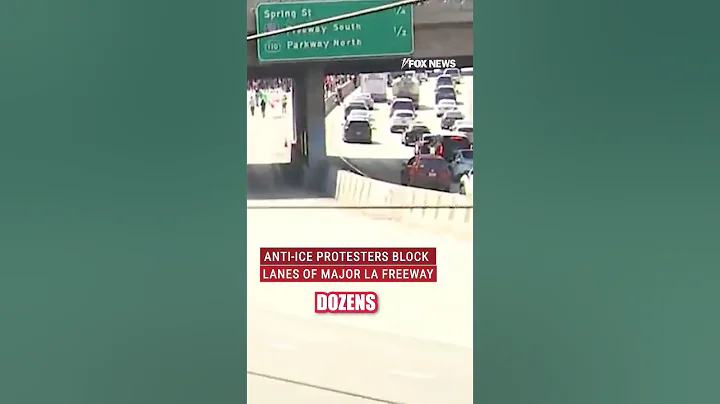 WATCH: Anti-ICE protesters block major highway in Los Angeles #shorts #california #usnews #ice #usa