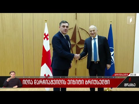 ილია დარჩიაშვილის ვიზიტი ბრიუსელში