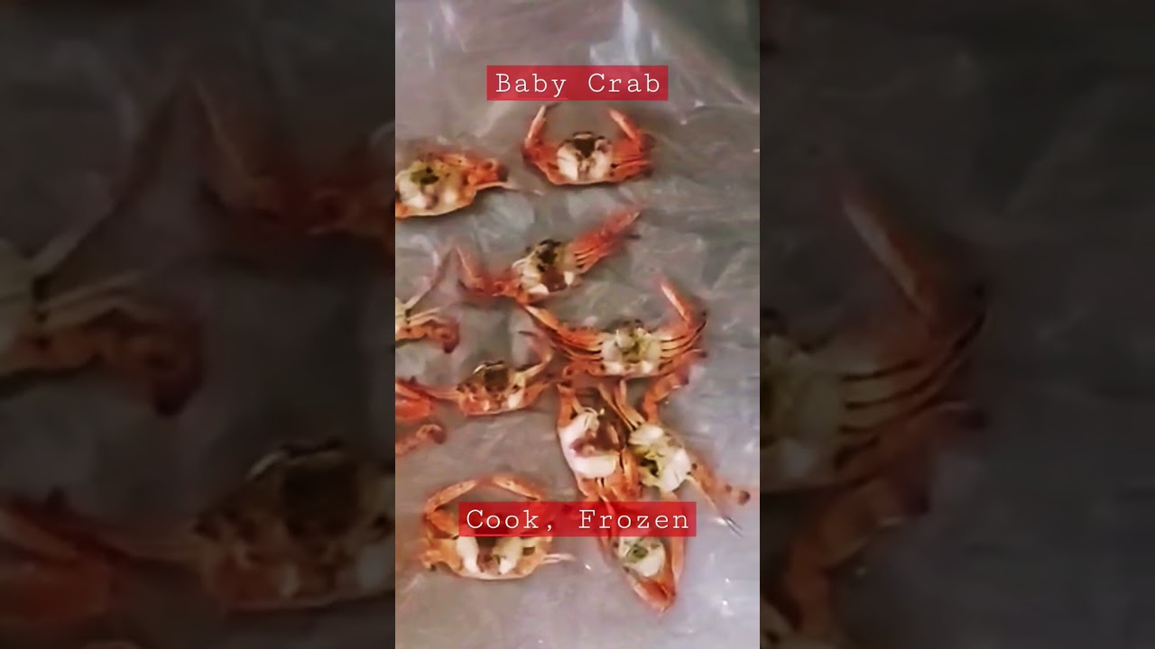Baby Crab Cook Frozen YouTube