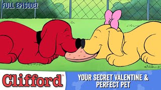 Puppy Days   Your Secret Valentine | Perfect Pet (HD  Full Episodes)