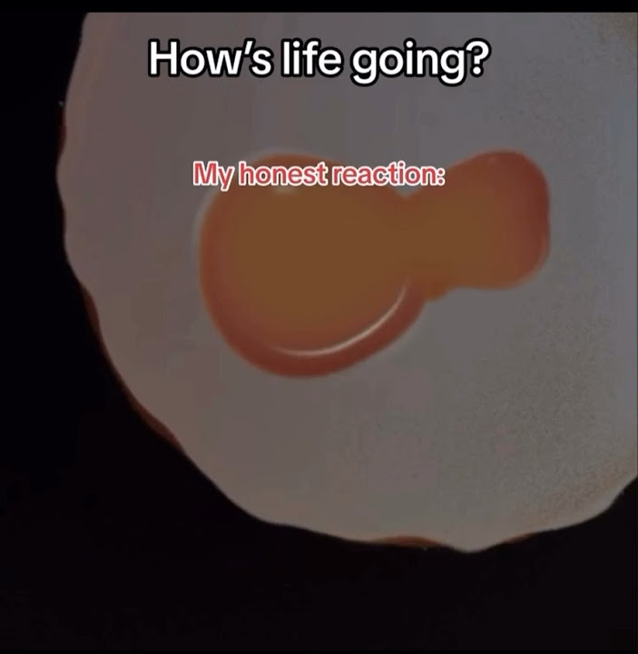 how-s-life-going-youtube