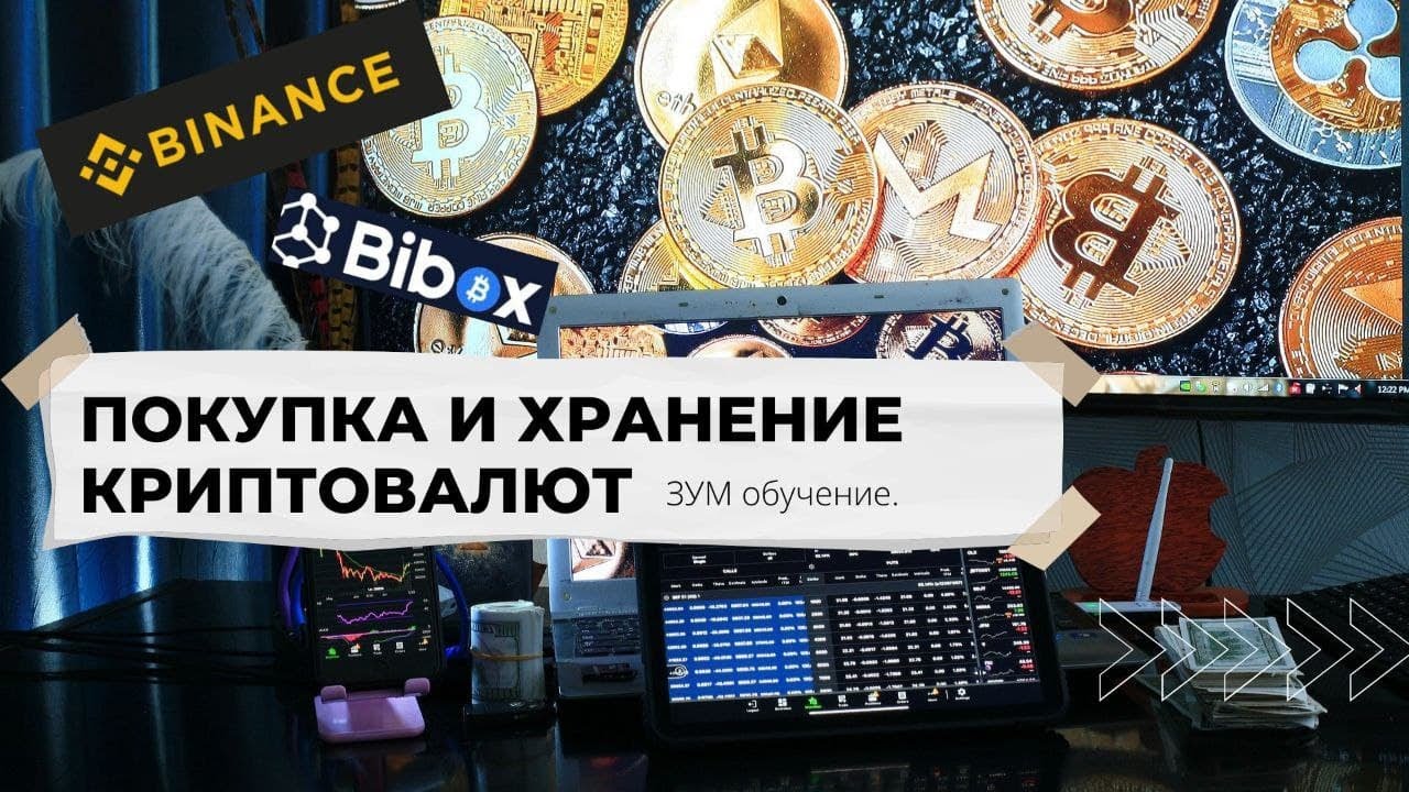 Обзор DotBig подробная бизнес-информация в отношении гостиных и денежных условиях брокера Блог удачливого инвестора