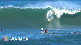 Waimea Bay Surf (RAW)