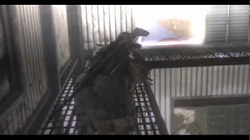 FaZe ZiiMeR: Class setup video + Sick 1080 / THANKS FOR 25k!