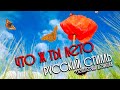 Русский Стилль (Екатерина Денисова) - Что ж ты лето  New Version  2021