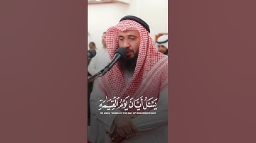﴿لا أقسم بيوم القيامة﴾ [سورة : القيامة]🎧🍃 #المصحف #yasseraldossary #راحة_نفسية