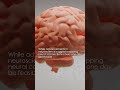 Could We Upload Our Brains to Computers? | Kurzgesagt-Style #shorts