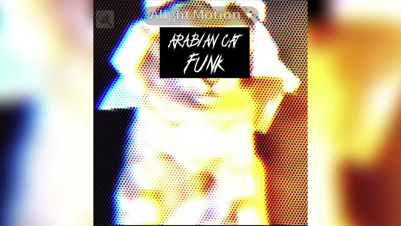 DJ BWU2 & DJ AFKAK - ARABIAN CAT FUNK
