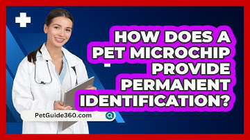 How Does a Pet Microchip Provide Permanent Identification?