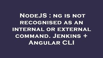 NodeJS : ng is not recognised as an internal or external command. Jenkins + Angular CLI