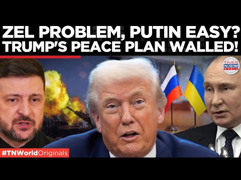 DONETSK HANDOVER WARNING Trump S Ukraine Peace Plan Could Spark Putin S Next Invasion World News 