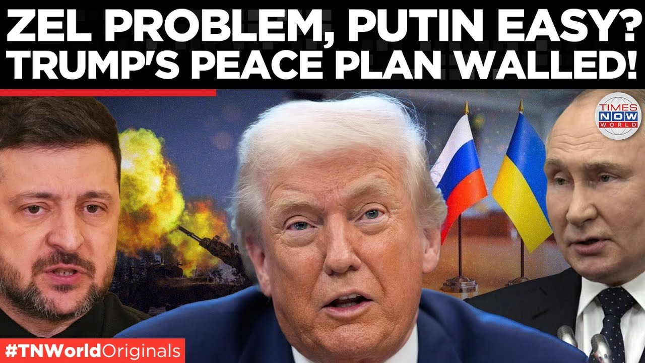 DONETSK HANDOVER WARNING: Trump’s Ukraine Peace Plan Could Spark Putin’s Next Invasion | World News